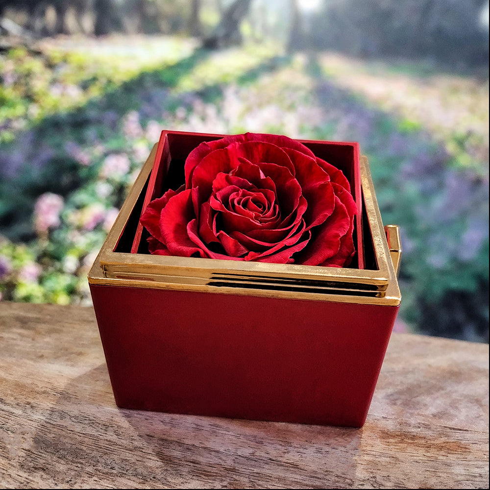 (Almost Sold Out) I just want to be your last everything - Mother's Day Luxury Rose Necklace Set For Wife