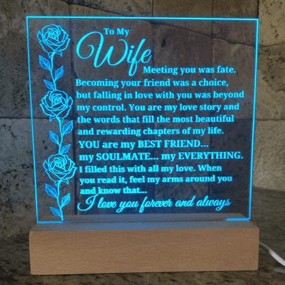 To My Wife "Meeting you was fate..." Acrylic Plaque