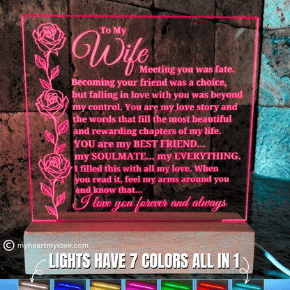 To My Wife "Meeting you was fate..." Acrylic Plaque