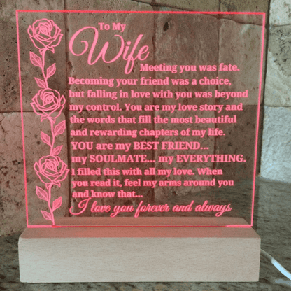 To My Wife "Meeting you was fate..." Acrylic Plaque