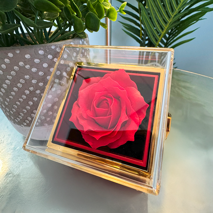 You are the best thing that happened to me - Eternal Rose Luxury Gift For Wife